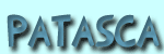 patasca