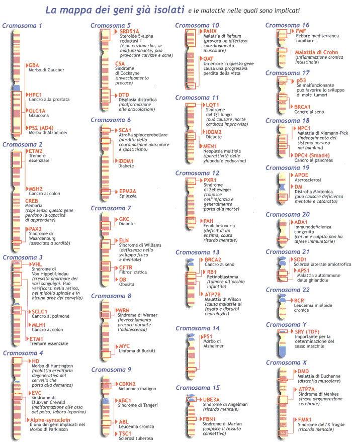 Mappa dei geni isolati