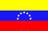 La bandiera venezuelana