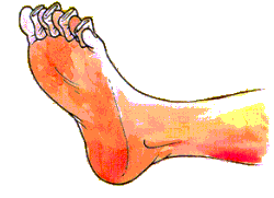 3. Separare dita di piedi o mani